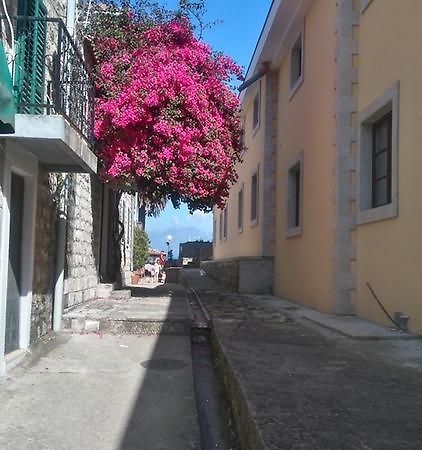 Nataliia Twister Apartment Budva Dış mekan fotoğraf