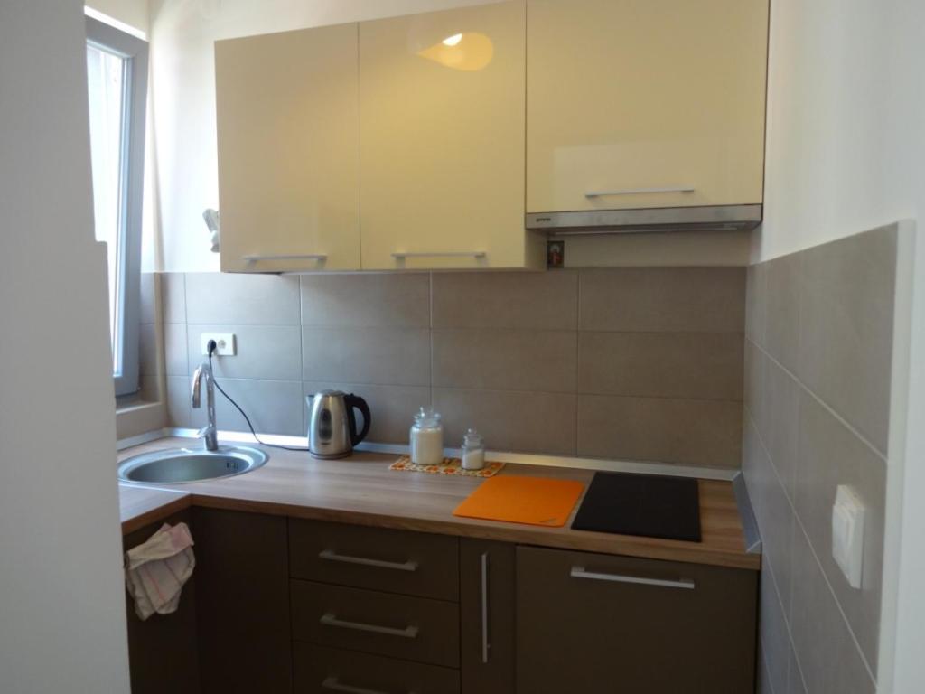 Nataliia Twister Apartment Budva Dış mekan fotoğraf